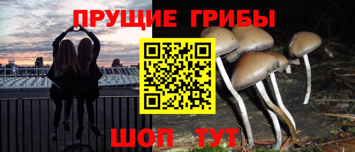 Галлюциногенные грибы MAGIC MUSHROOMS Калуга