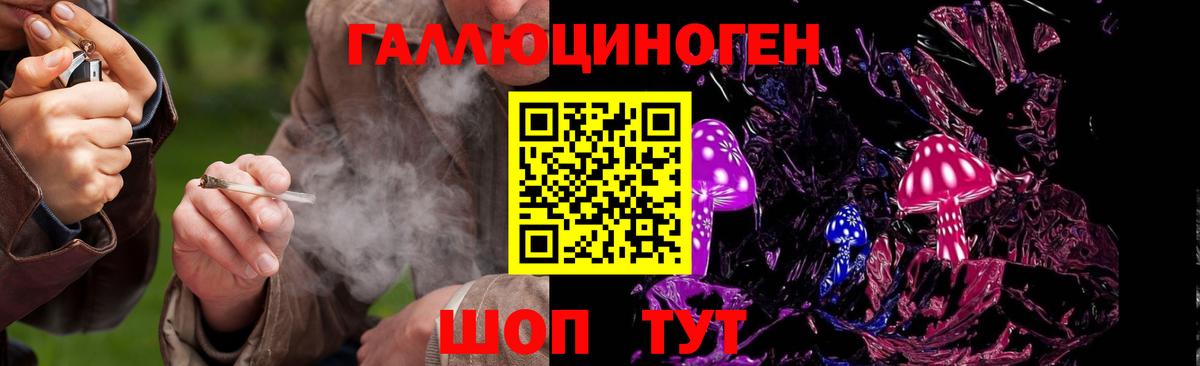 Галлюциногенные грибы Psilocybine cubensis  Вход с VPN  Калуга  Галлюциногенные грибы Cubensis 